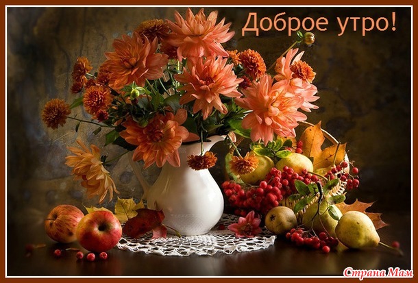 Предновогодний марафон 2017. Неделя 4. 21 - 27 ноября 2016 года
