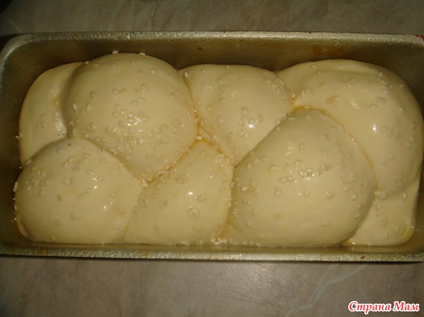 . Хала Литовская