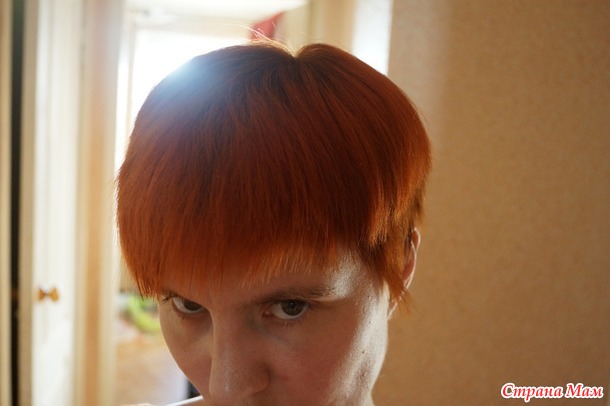 Я дальтоник?