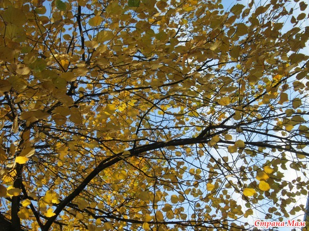 "Размахайка" крючком №2.