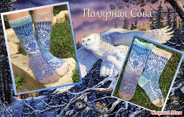 Поздравляем победителей конкурса Совомания!!!