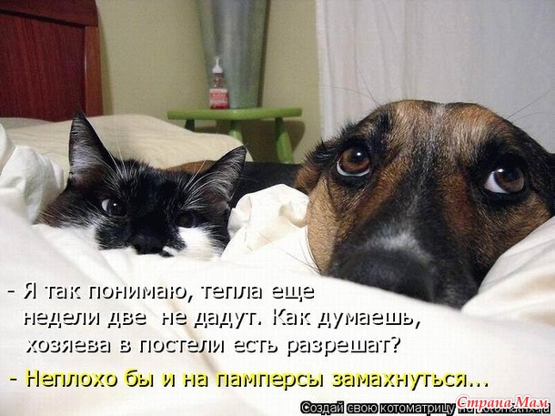 Меня рассмешило, а вам как?
