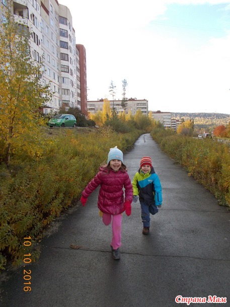 Немного осенних картинок.