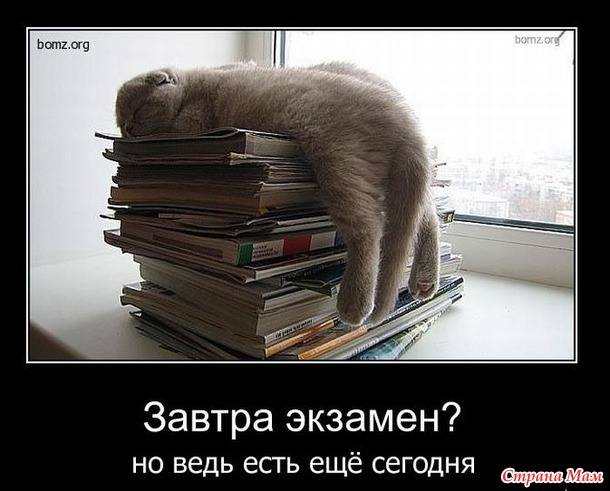 Профессор: Вы боитесь моих вопросов? Студент: Нет, я боюсь своих ответов.