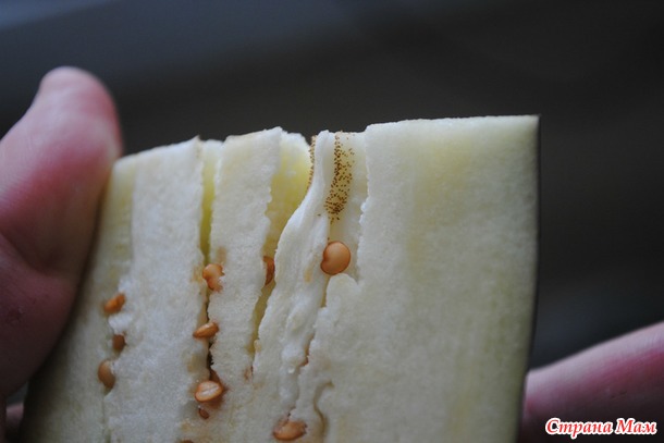 ��� ��� �� ���������� ����� ������  ����������?