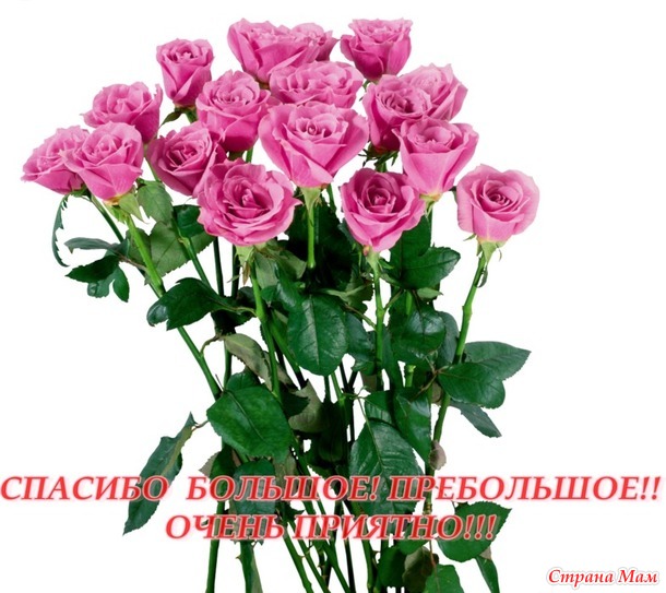 Моя феечка)))