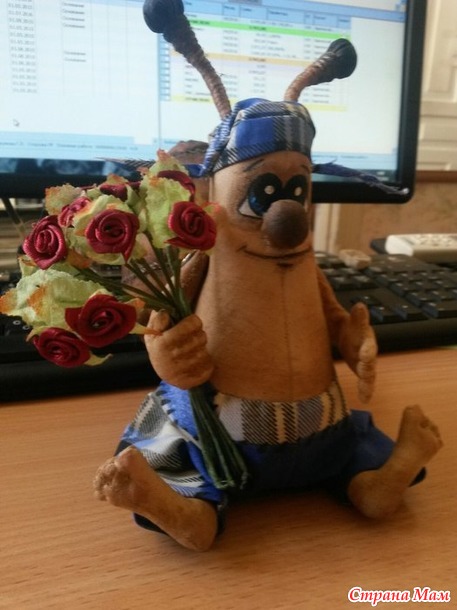 . Улит Пашка