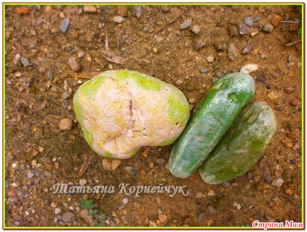 Каменный город. Продолжение.