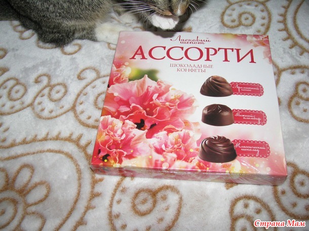 Отчет по фее № 19