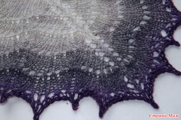  Holden Shawlette - 
