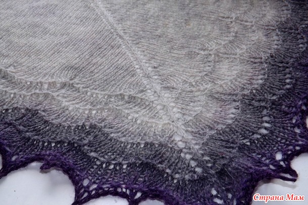  Holden Shawlette - 
