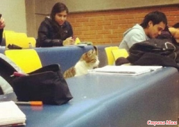 Вы нас не ждали? А мы припёрлись!))