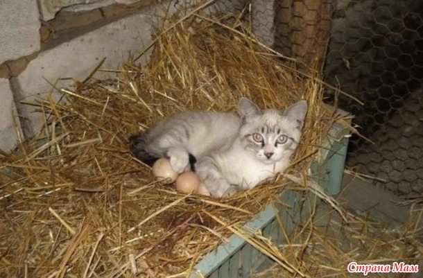 Вы нас не ждали? А мы припёрлись!))