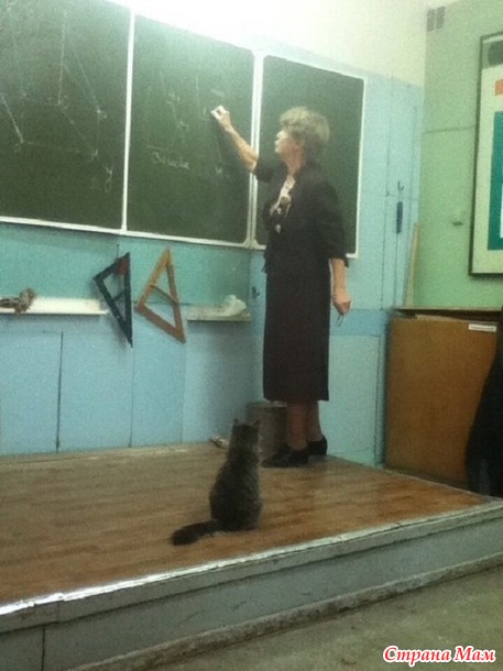 Вы нас не ждали? А мы припёрлись!))