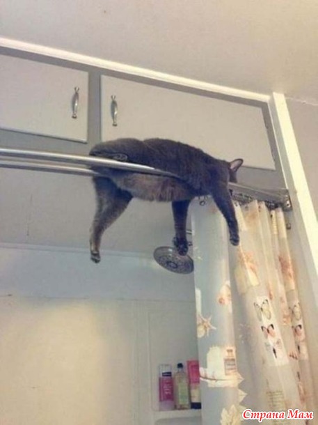 Вы нас не ждали? А мы припёрлись!))