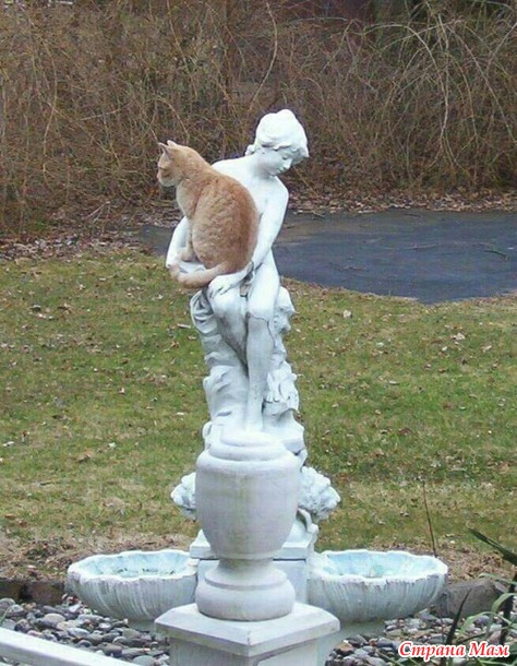 Вы нас не ждали? А мы припёрлись!))