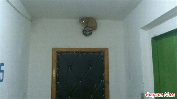 Вы нас не ждали? А мы припёрлись!))