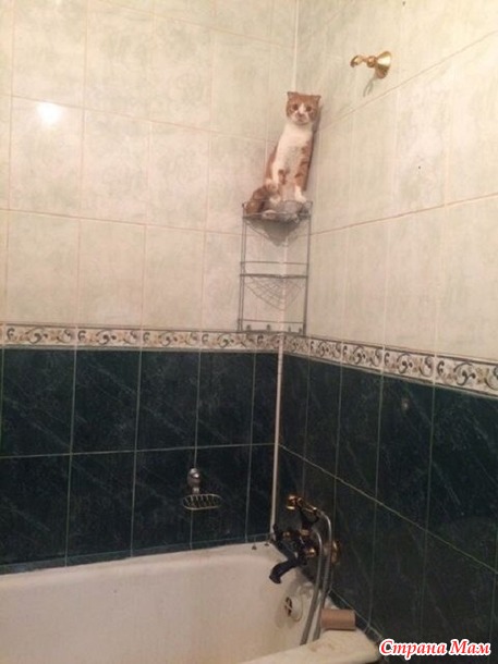 Вы нас не ждали? А мы припёрлись!))