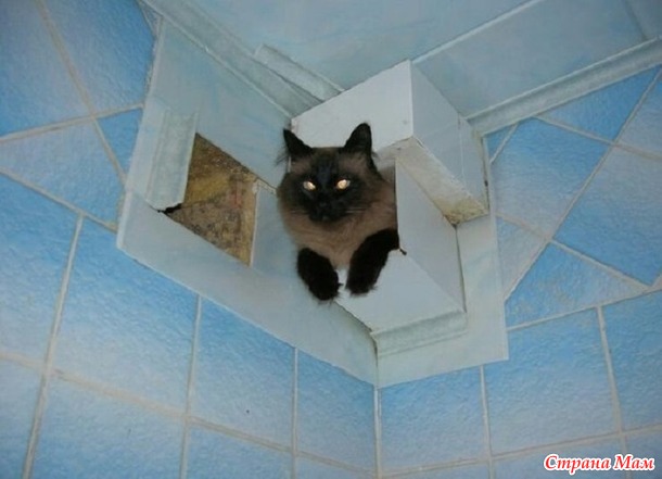Вы нас не ждали? А мы припёрлись!))