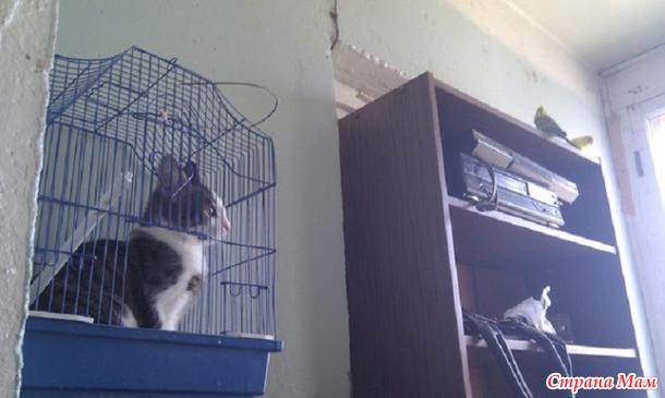 Вы нас не ждали? А мы припёрлись!))