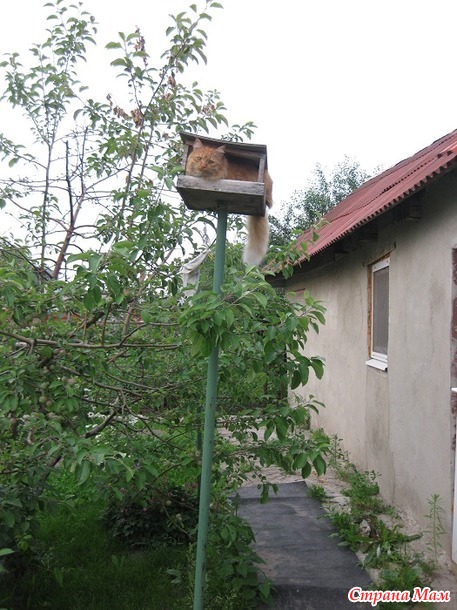 Вы нас не ждали? А мы припёрлись!))