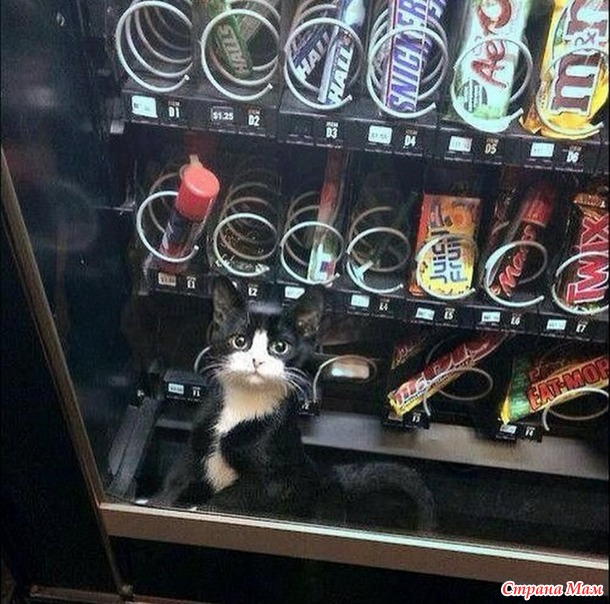 Вы нас не ждали? А мы припёрлись!))