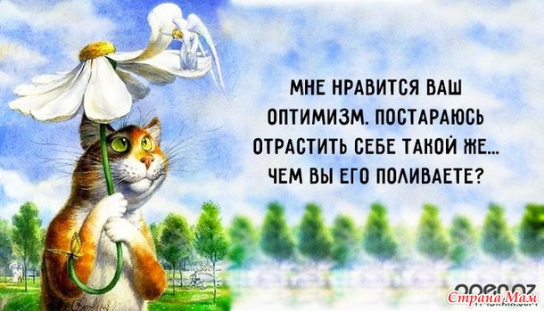 Веселые картинки