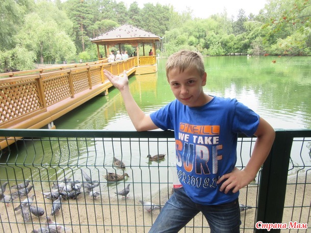 Про поездку в дельфинарий и зоопарк.