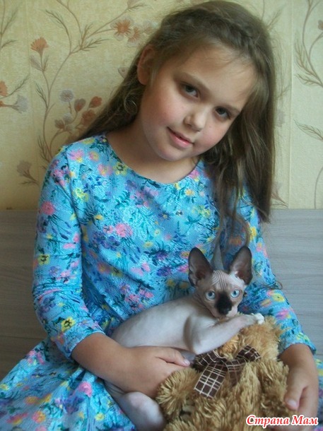 Новый член семьи..