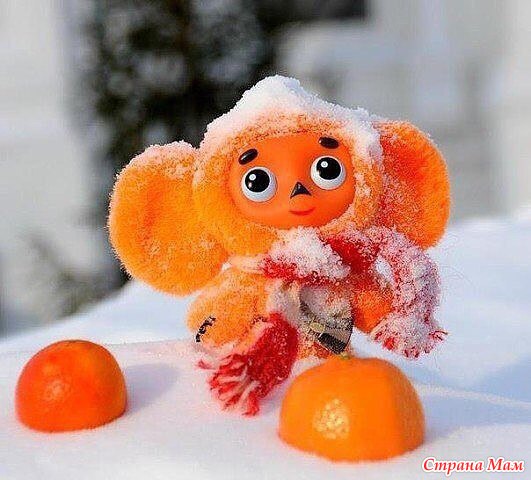  !     ?&amp;#128512;&amp;#127794;&amp;#127818;&amp;#127852;&amp;#127851;&amp;#129346;