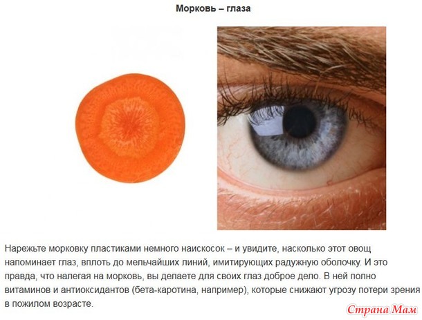 "Ты то, что ешь" или какие продукты для какого органа в нашем организме