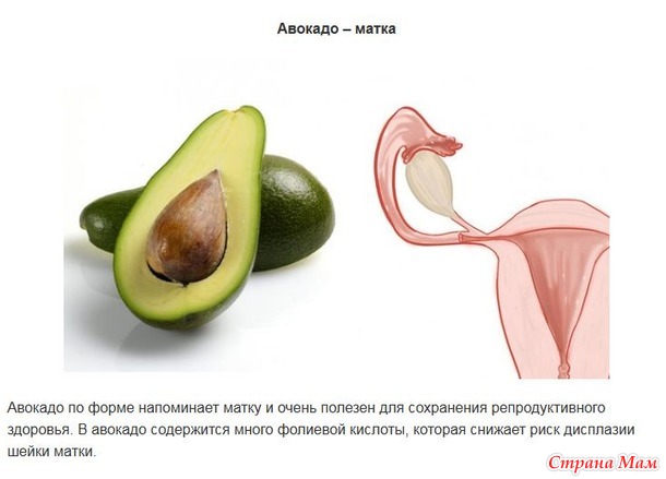 "Ты то, что ешь" или какие продукты для какого органа в нашем организме