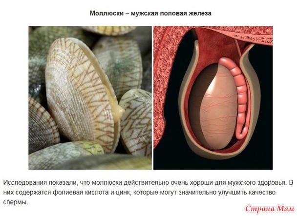 "Ты то, что ешь" или какие продукты для какого органа в нашем организме
