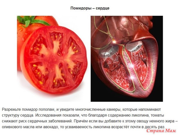 "Ты то, что ешь" или какие продукты для какого органа в нашем организме
