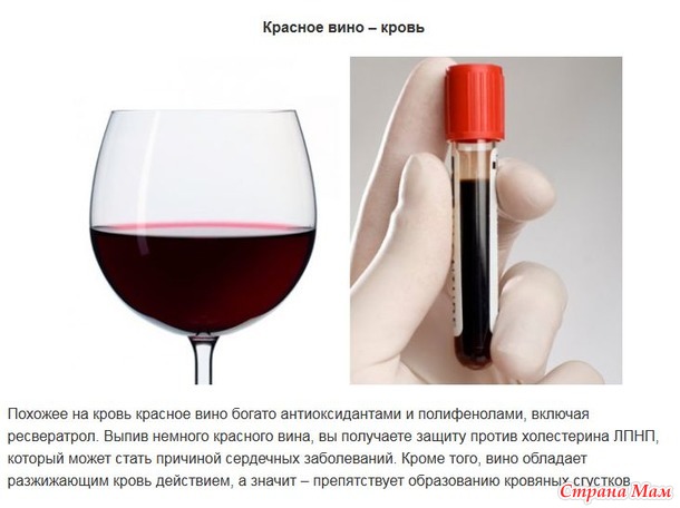 "Ты то, что ешь" или какие продукты для какого органа в нашем организме