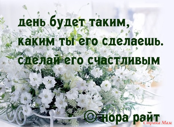 . Ежик Сёмик