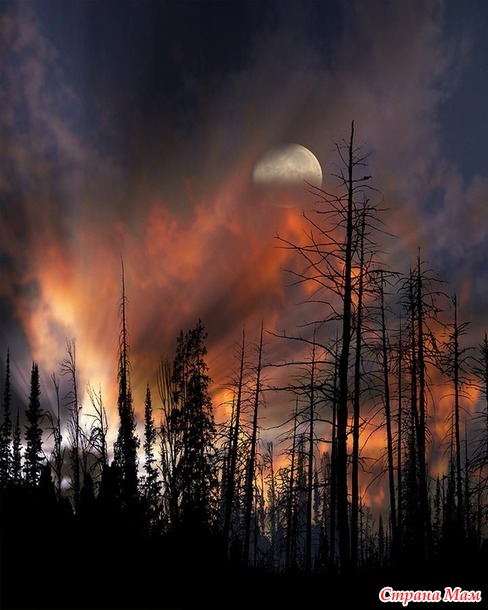 Изумительной красоты фантастические фотографии! Peter Holme III