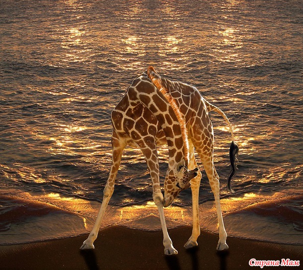 Изумительной красоты фантастические фотографии! Peter Holme III