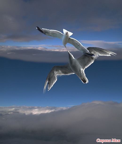 Изумительной красоты фантастические фотографии! Peter Holme III