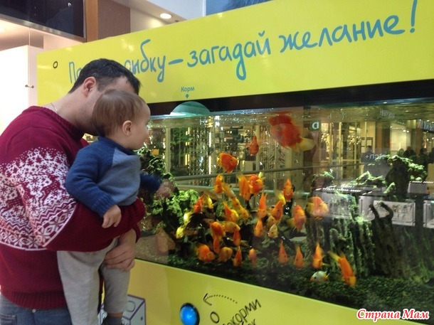 . Сбылась мечта, появилась модель ))