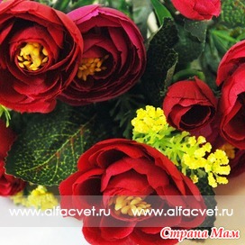  KAMEL-10-30-61-S   65 .