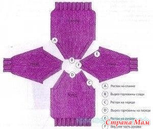    (2)