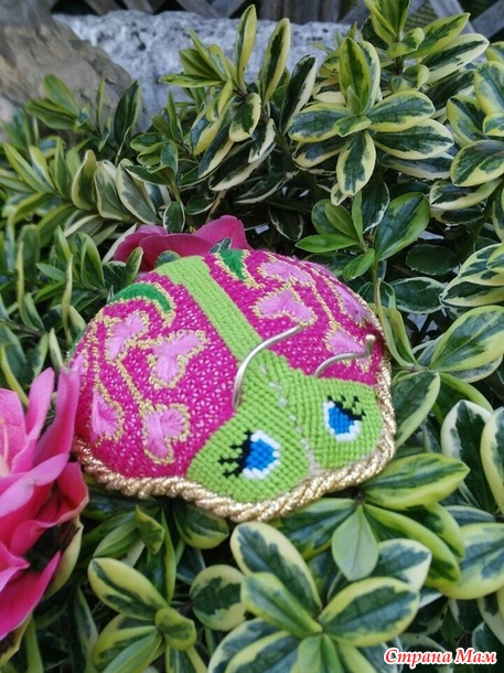 Божья коровка
