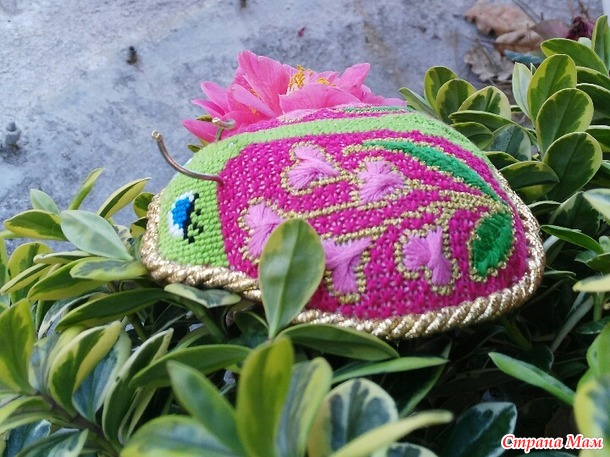 Божья коровка