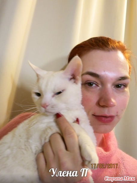 ������ � ���������� ������� ��� ����.