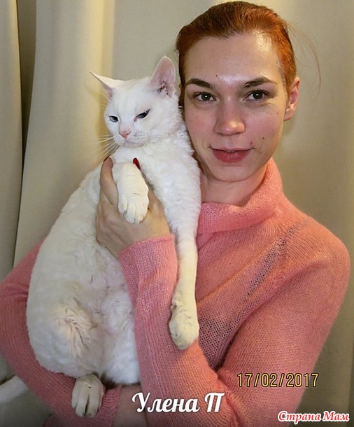 ������ � ���������� ������� ��� ����.