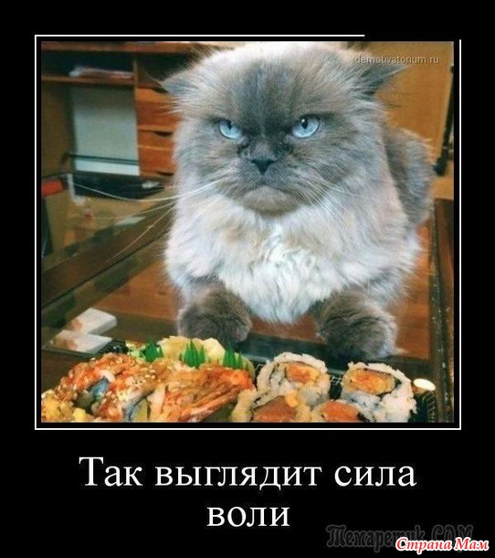 1 марта отмечается День кошек!