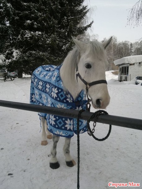 Новый год- новые поделки!