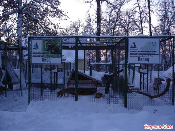 Тренировка. Серия блиц тренировок. Задание №2. Есть ответ.