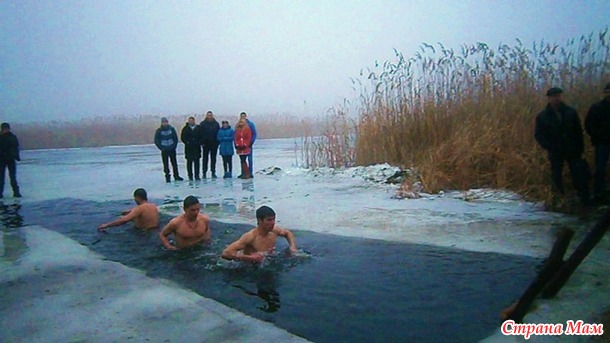 Отчет 2016